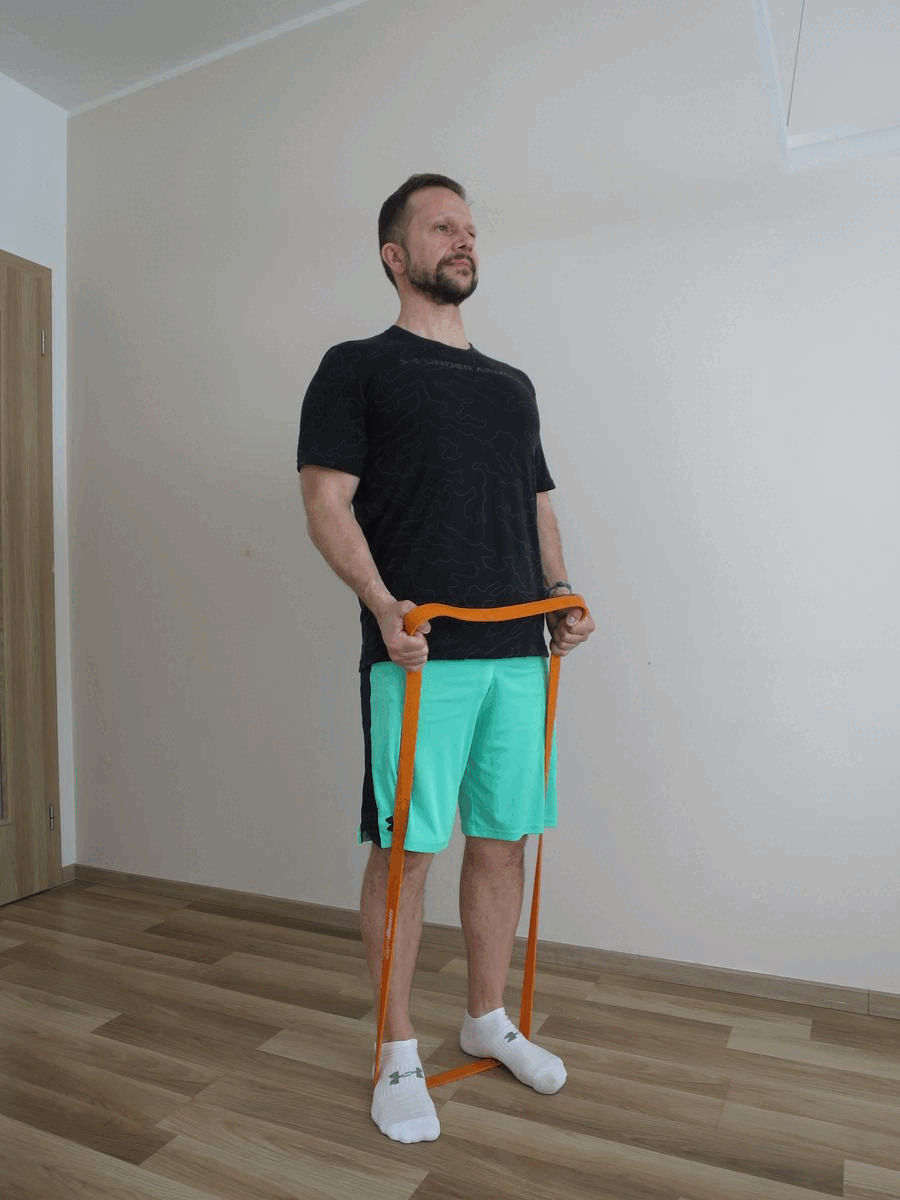 Six Pack - Biceps curls exercise using a resistance band